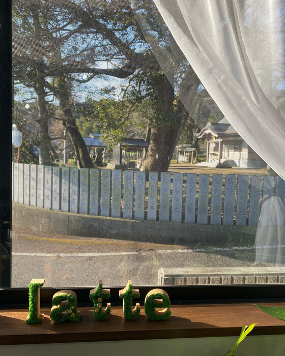 画像256