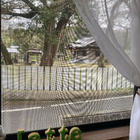 画像316