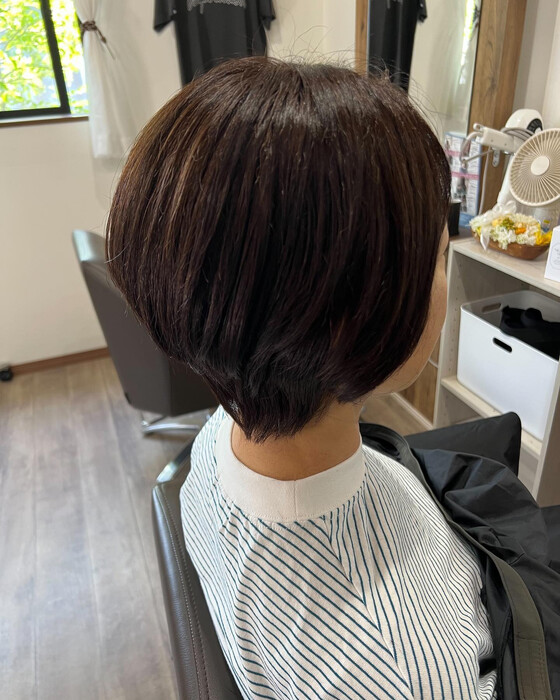 画像536