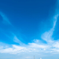 画像538