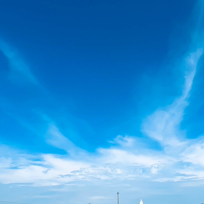 画像538