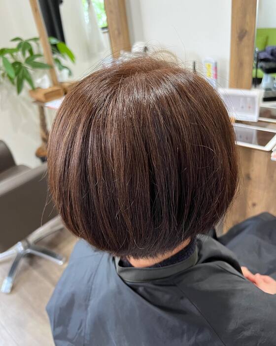 画像545