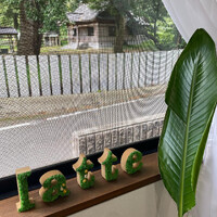 画像584