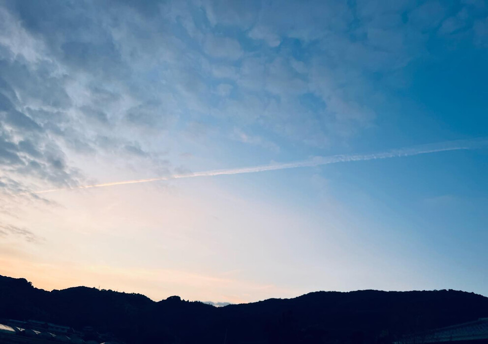 画像704